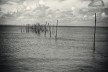 Exposição “Minha terra é o mar”<br />Foto Roumen Koynov 