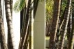 Embajada de Colombia en Brasília, detalle, Cesar Barney, Brasília DF, Brasil, 1977-1981<br />foto Sylvia Vera Patiño Spitzer 