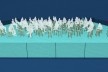 Spree river theatre, possibilities of usages. Carlos M. Teixeira