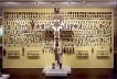Brasil 500 Anos<br />Foto Nelson Kon 