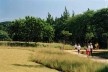 Parque da Juventude, São Paulo, 2003-2005. Paisagismo de Rosa Kliass<br />Foto Nelson Kon 