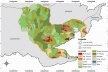 Figura 8. Uso do solo na bacia hidrográfica do rio Camorim. Jacarepaguá/Rio de Janeiro [Cintra (2007)]