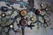 Kew Gardens, Rhizotron, Londres<br />Foto Francine Sakata 