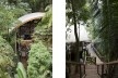 Casa do Felix, Praia do Felix, Ubatuba SP, arquiteto Silvio Sant’Anna<br />Foto Fran Parente 