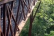 Kew Gardens, Xstrata Walkway Treetop, Londres<br />Foto Francine Sakata 