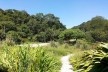 Parque Natural do Pedroso, atual situação, Santo André SP<br />Foto Arthur Ribeiro Molinari 