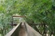 Parque da Juventude, São Paulo, 2007. Paisagismo de Rosa Grena Kliass<br />Foto Abilio Guerra 