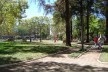 Fig. 7. Vista da praça Tamandaré, Passo Fundo<br />Foto Juan Mascaró  [Oliveira, Mascaró, 2007]