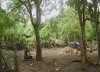 Comunidades rurales del sur del municipio de Masaya, Nicaragua