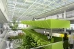 Concurso de Propostas Arquitetônicas para o futuro SESC Guarulhos, 1º lugar. Arquitetos Renato Dal Pian e Lilian Dal Pian, 2009<br />Imagem escritório 