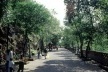 Parque Chapultepec, Cidade do México. Alameda ladeando a encosta rochosa