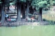 Horto Florestal, São Paulo<br />Foto Clayton Lino 