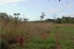 Fordlandia, exemplo de destruição e construção<br />Foto Carlos Teixeira 