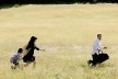 A família nuclear estadunidense corre pelos campos nada idílicos de Fim dos Tempos [divulgação do filme]