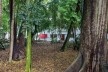 Casa Modernista na Rua Santa Cruz, São Paulo. Arquiteto Gregori Warchavchik<br />Foto Leonardo Finotti 