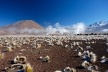 Gêiseres del Tatio<br />Foto José Tabacow 