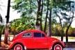 Fusca vermelhíssimo, série fotográfica “Os fuscas ofuscam”<br />Foto Fernando Mascaro 