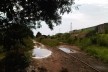 Trens abandonados em ramal industrial desativado, Altos da Vila, Araraquara<br />Foto Abilio Guerra 