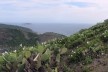 Morro do Forte do Pico, Niterói RJ<br />Foto Victor Hugo Mori 