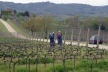 Paisagens da Toscana, Itália<br />Foto Flávio Bitelman 