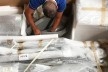 Peças do Monumento à III Internacional de Vladmir Tátlin catalogadas e embaladas<br />Foto Guilherme Tanaka 