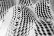 Reiser & Umemoto, Vector Wall, 2002, detalhe do modelo de estudo<br />Reiser + Umemoto, RUR Architecture, PC 