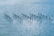 Auditório para questões delicadas, Lago do Ibirapuera, São Paulo, 1989. 
<br />Foto Rômulo Fialdini 