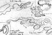 Croquis aéreo do curso dos rios no pampa argentino, de Le Corbusier, que originaria sua jocosa “Lei do meandro” [Santos, Cecília Rodrigues dos [et al.]. Le Corbusier e o Brasil. São Paulo. Projeto Editor]