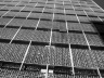 Edifício Renata Sampaio Ferreira, 1956