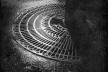 Verja Arbol<br />Foto Brassaï 