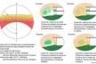 Estudo de incidência de radiação solar na fachada oeste <br />Imagem dos autores do projeto 
