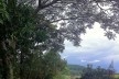 Sítio Laranjal, área rural, Araraquara<br />Foto Abilio Guerra 