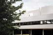 Villa Savoye e a cerejeira<br />Foto Abilio Guerra 