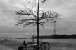 Paraty<br />Foto Abilio Guerra 