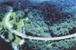 Os pilares dessa estrutura de concreto “desaparecem” visualmente abaixo do nível da vegetação; e a pista parece flutuar no plano verde da superfície das copas das árvores. Parece que os projetistas da estrada quiseram, além da minimização do impacto dessa [ISTEA. Landscape Architecture, March 1985, p 47]