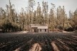 Vivienda T, Tarija, Bolivia, 2020. Arquitecto Mechthild Kaiser; colaborador Mauricio Méndez / Estudio de arquitectura y Planificación Kaiser<br />Foto Mechthild Kaiser 