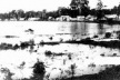 Alagação na Villa Rio Branco, seringal Empreza, 1908 [COSTA, 2002, p.77]