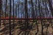 Parque Alberto Simões, Pedro Paes y Eugénio Filipe Teixeira, São José dos Campos<br />Foto divulgação 