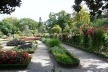 As áreas floridas, os canteiros espalhados pelo parque que proporcionam perfume e coloridos diferenciados<br />Foto: Jovanka Baracuhy C. Scocuglia 