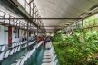Hospital Sarah Salvador, Salvador BA, 1991. Arquiteto João Filgueiras Lima, Lelé<br />Foto Nelson Kon 