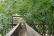 Parque da Juventude, São Paulo, 2003-2005. Paisagismo de Rosa Kliass<br />Foto Nelson Kon 