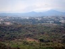 Mata do Campus da Universidade Federal de Minas Gerais, Belo Horizonte. Bem tombado em nível municipal<br />Foto Andrea Zerbetto 