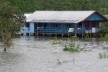 Margem do Rio Amazonas<br />Foto Eduardo Oliveira Soares, julho 2019 