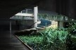 Teatro Nacional, Brasília, arquiteto Oscar Niemeyer, paisagista Roberto Burle Marx<br />Foto Felipe SS Rodrigues 