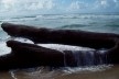 Praia da Joaquina, Florianópolis, março de 2011<br />Foto Gisela Barcellos de Souza 