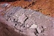 Ensaio <i>Em obras</i><br />Foto Carlos Teixeira  [<i>Em obras: história do vazio em Belo Horizonte</i>, p. 2]