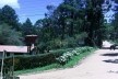 Imediações do hotel Cabeça de Boi, Monte Verde, Camanducaia MG<br />Foto Abilio Guerra 
