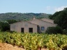 Ramatuelle<br />Foto Marcio Cotrim 