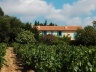 Ramatuelle<br />Foto Marcio Cotrim 