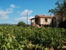 Ramatuelle<br />Foto Marcio Cotrim 